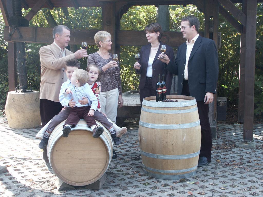 Weingut Seck Ξενοδοχείο Dolgesheim Εξωτερικό φωτογραφία