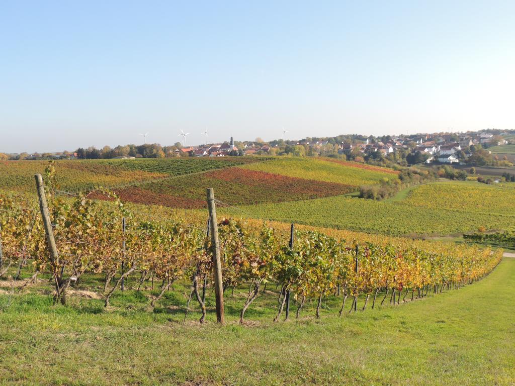 Weingut Seck Ξενοδοχείο Dolgesheim Εξωτερικό φωτογραφία
